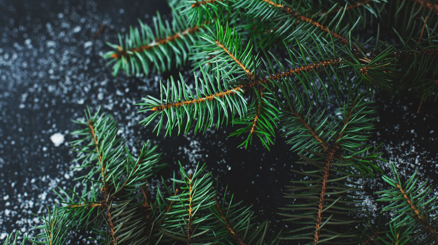 В очікуванні Господа christmas